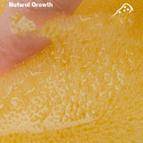 NATURAL COFFEE COLOR SPONGE HONEYCOMB SPONGE_CWMM3415