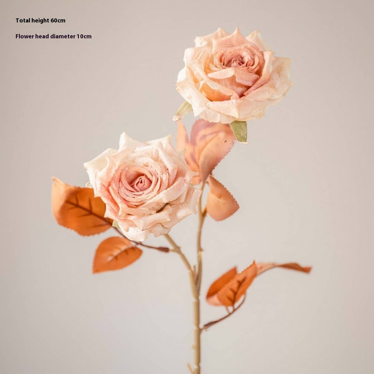 DRIED TONE BURNT EDGE ROSE BOUQUET FOR DECOR_CWMM6577
