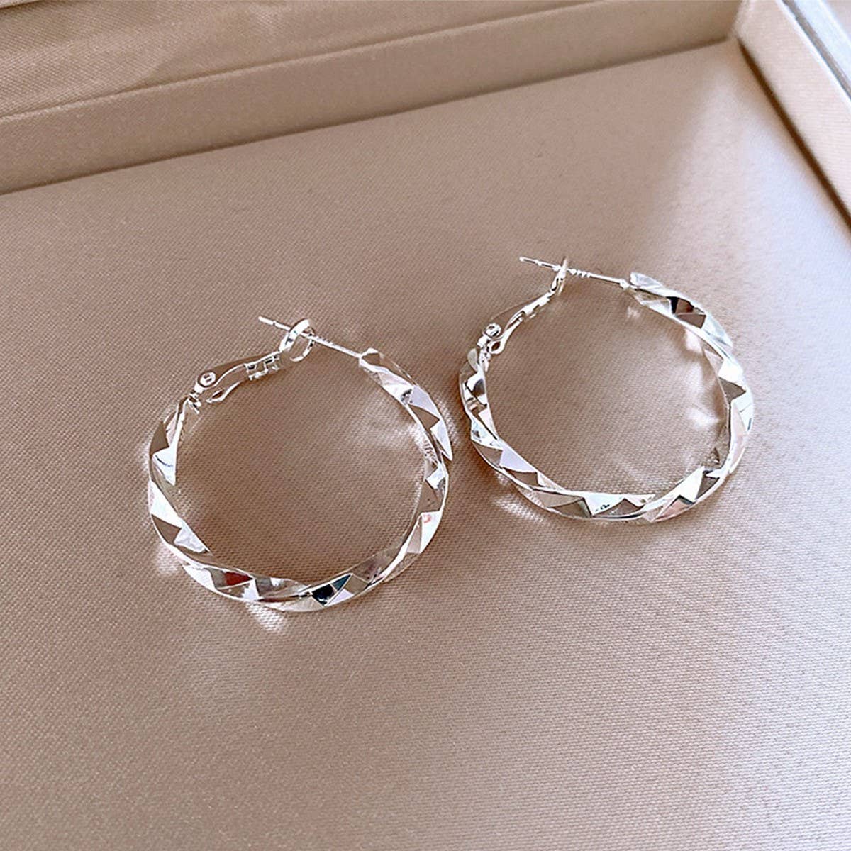 EXAGGERATED ROUND TWISTED TEMPERAMENT EARRINGS_CWAJE2470