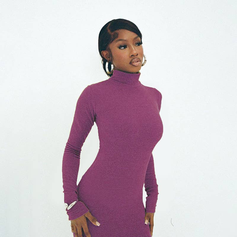 Stylish Elegance High-Neck Fit Long-Sleeved Dress