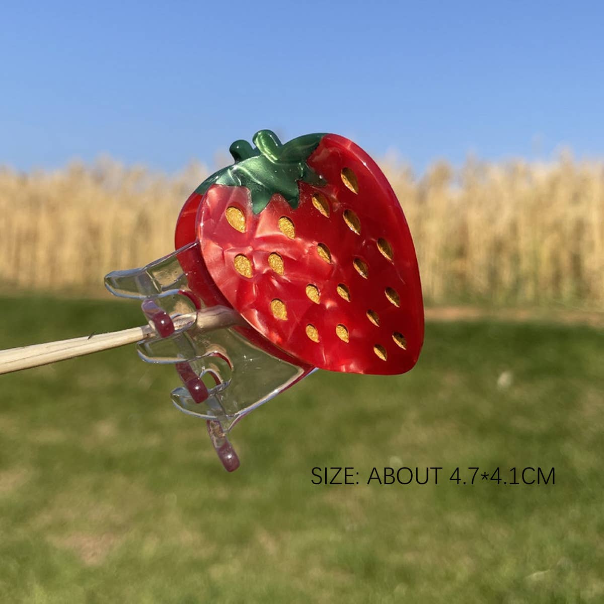 2024 New Simple Fruit Grabber Hairpin_Cwaha0956