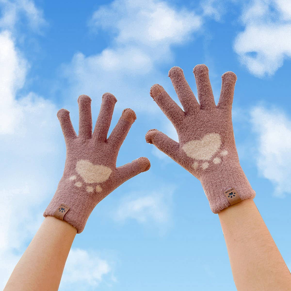 CARTOON CAT SCRATCHING GLOVES WINTER WARM GLOVES_CWAG0146