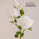 2 FLOWER 1 BUD BURNT EDGE DRIED ROSE ARTIFICIAL_CWMM6477