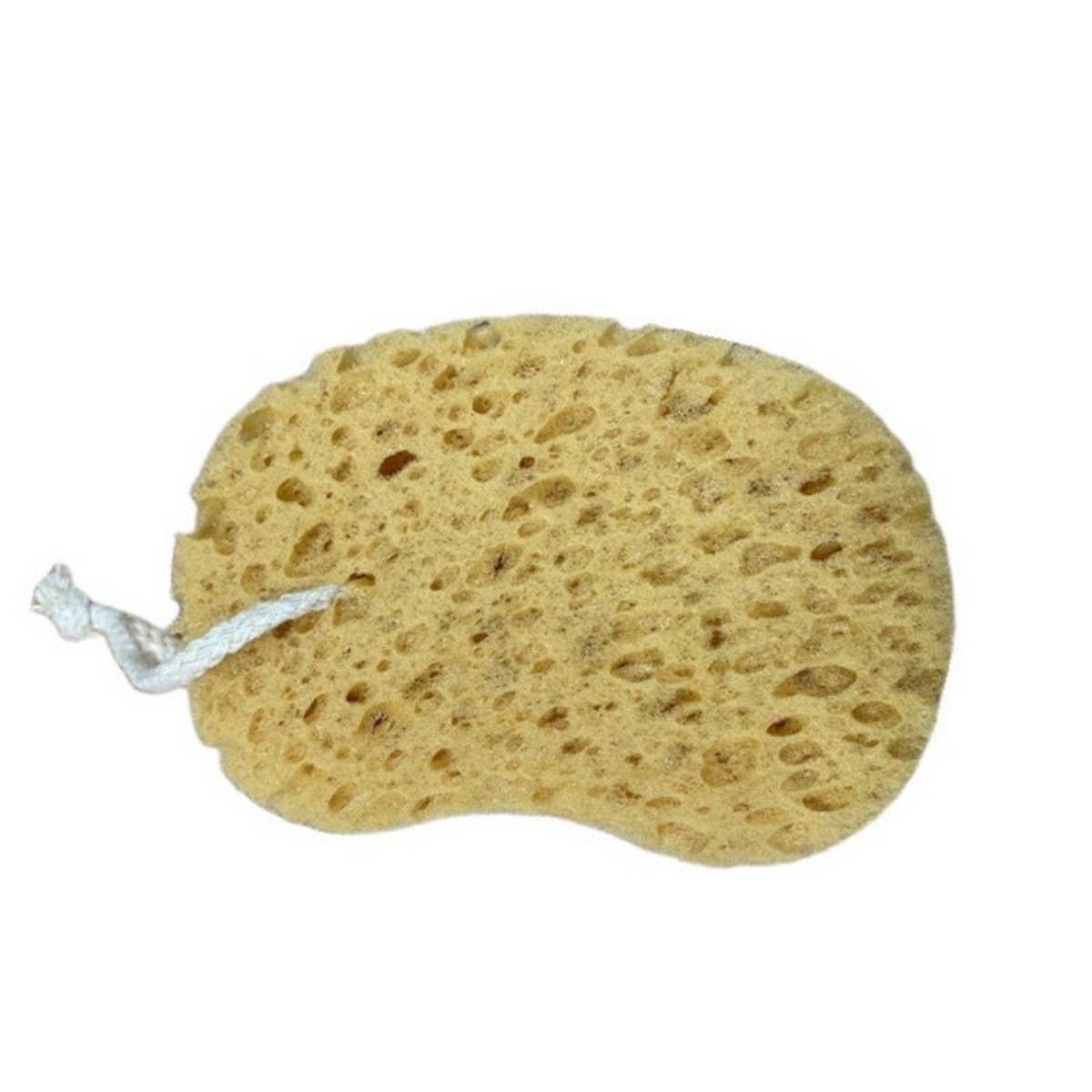 CLEANSING EXFOLIATING SPONGE BATH SCRUB_CWMM3406