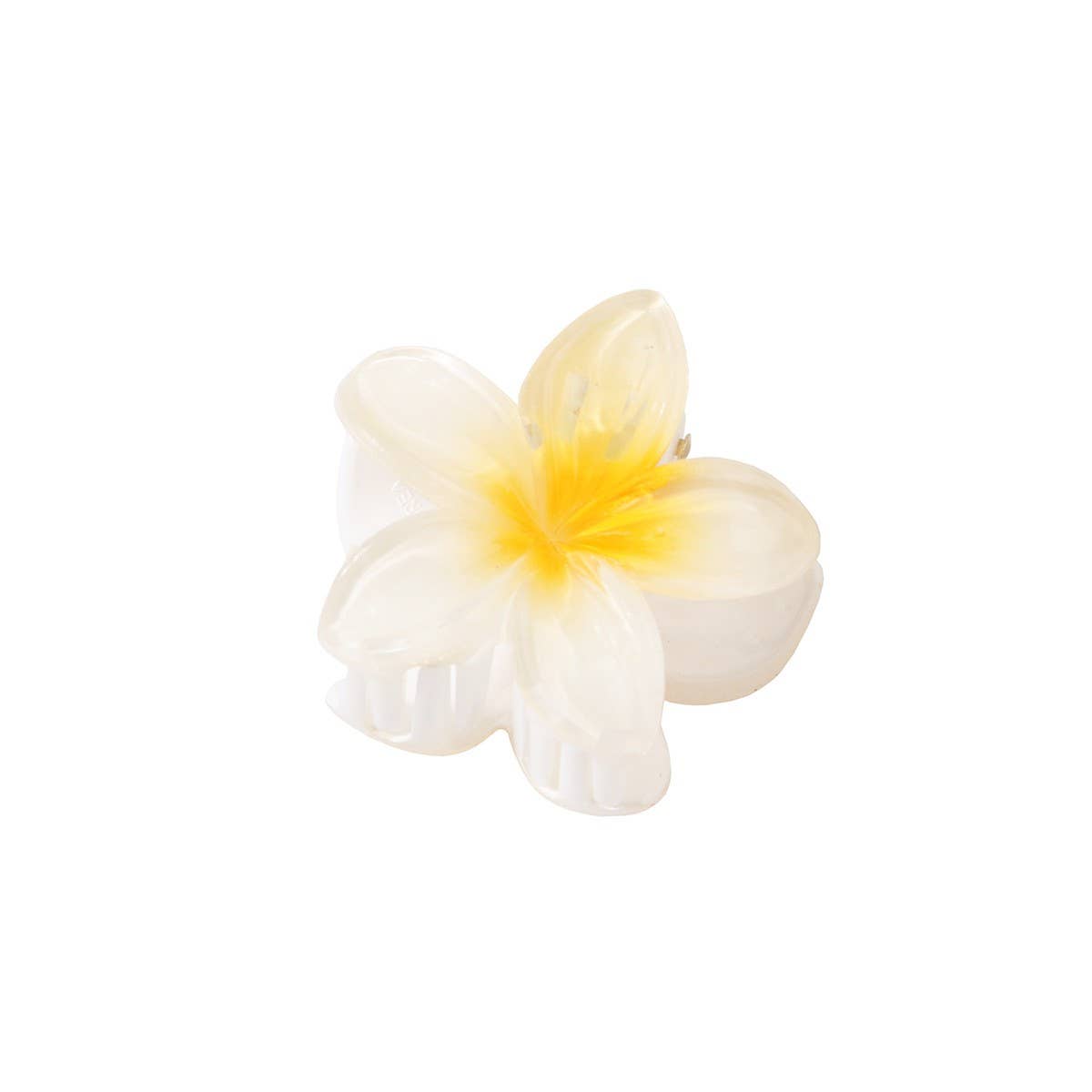 CANDY COLOR PLUMERIA HAIR CLAW SWEET FLORAL CLIP_CWMM4985
