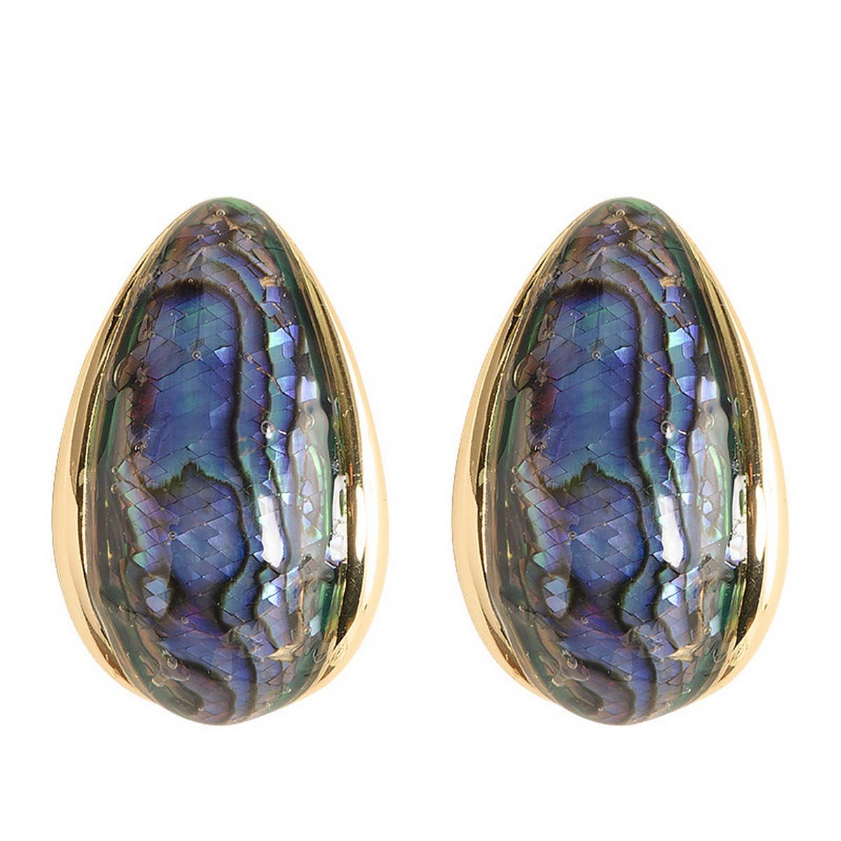 COLORFUL NATURAL ABALONE SILVER NEEDLE EARRINGS_CWMM4294