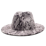 FASHIONABLE SNAKE PATTERN WOOLEN JAZZ HAT_CWAH2588