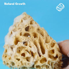 NATURAL SPONGE COFFEE COLOR NATURAL VELVET SPONGE_CWMM3419