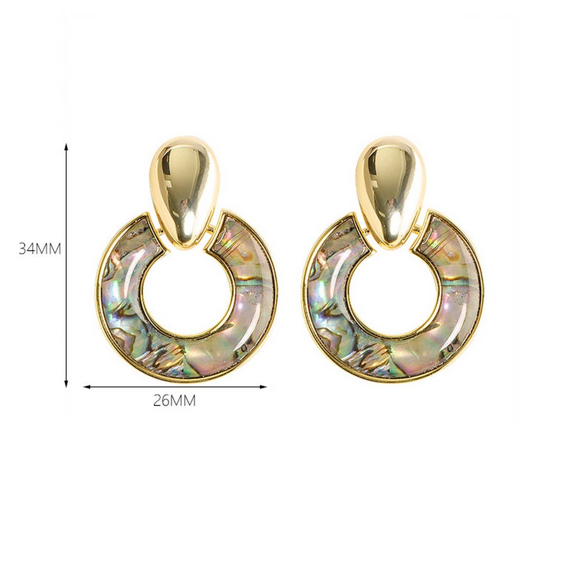 INLAID NATURAL ABALONE HOOP EARRINGS_CWMM4339