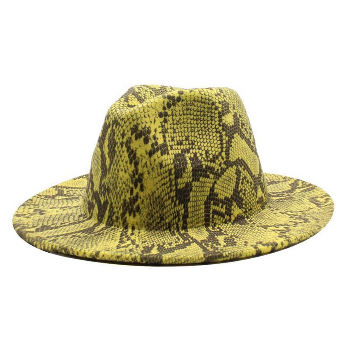 FASHIONABLE SNAKE PATTERN WOOLEN JAZZ HAT_CWAH2588
