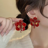 NICHE CREATIVE DESIGN FASHION EARRINGS_CWAJE2327