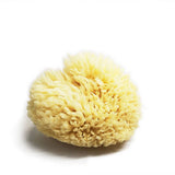 NATURAL WOOL SPONGE BATH SUPER SOFT BATH SPONGE_CWMM3420