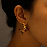 Unique Irregular 18K Steel Titanium Earrings_Cwmm8920