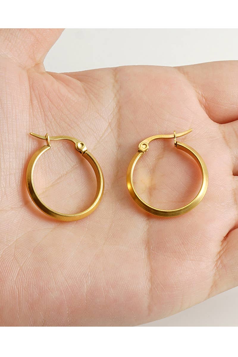 18K Gold Plated Stainless Steel Earrings_Cwaje0388