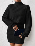 Bodycon Long-Sleeved High-Neck Ribbed Knit Dress