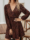 Long-sleeved, elastic-waisted leopard print dress