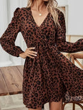 Long-sleeved, elastic-waisted leopard print dress