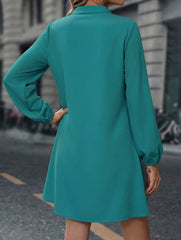 Solid Long Sleeve A Line Midi Dress