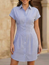 Stripe Short Sleeve Shirt Dress