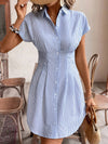 Stripe Short Sleeve Shirt Dress