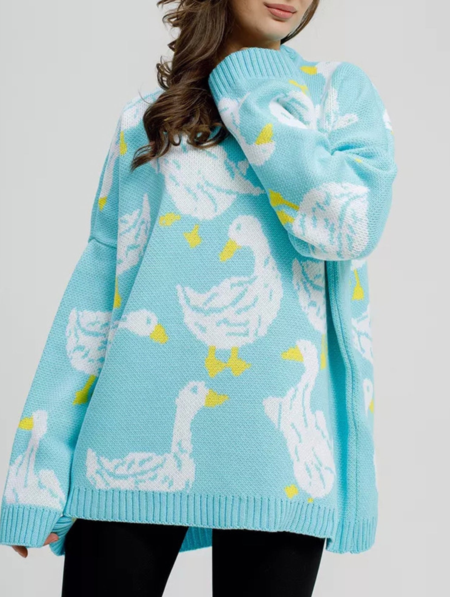 Cute duck print sweater_CWOSWL08992