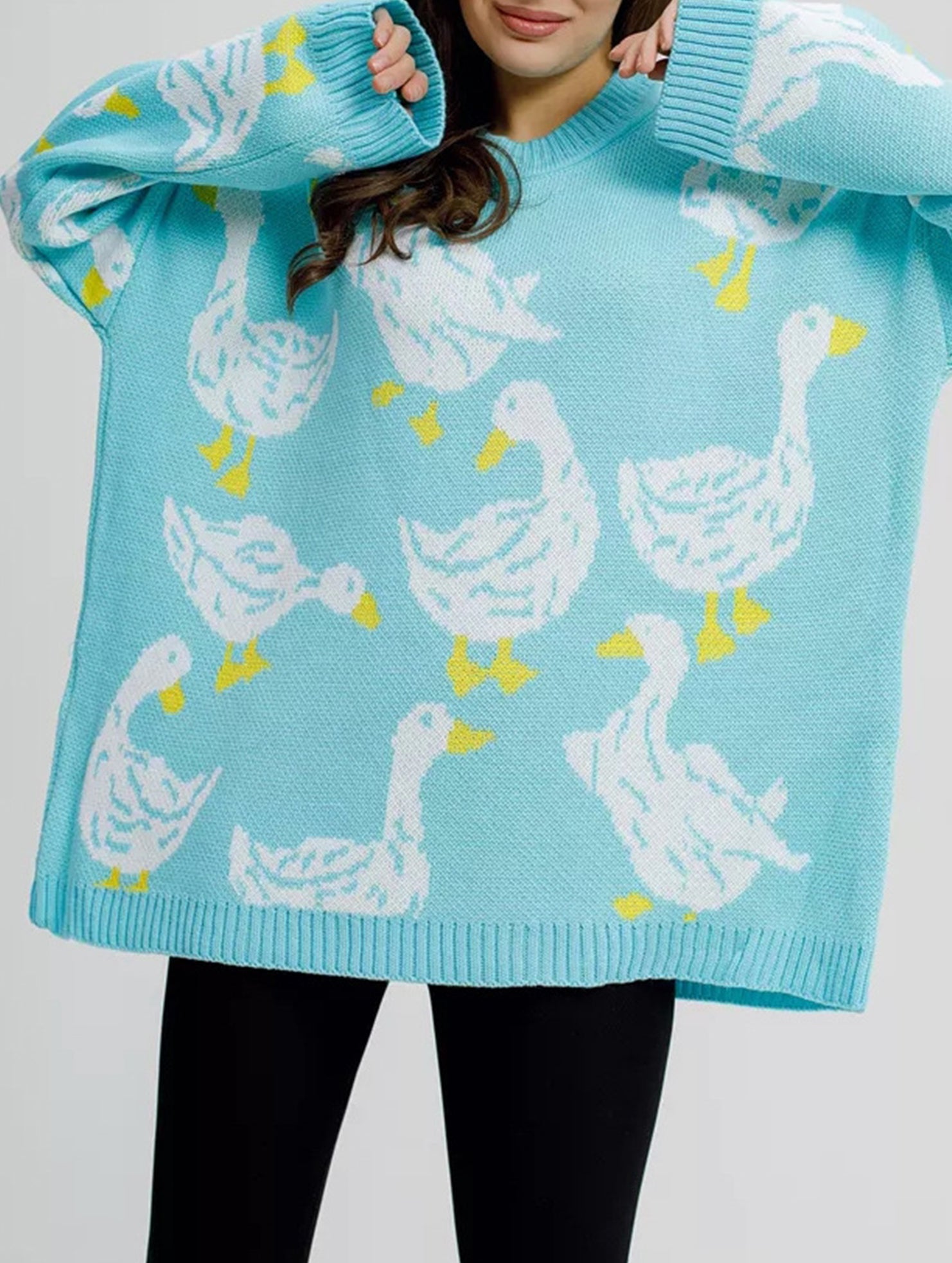 Cute duck print sweater_CWOSWL08992