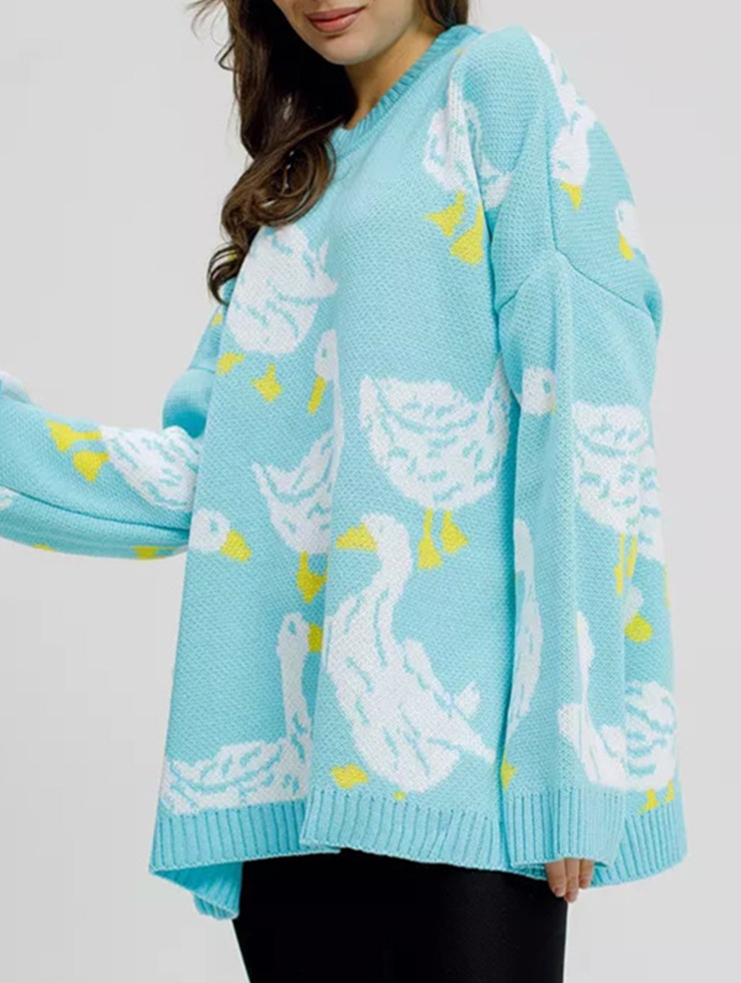 Cute duck print sweater_CWOSWL08992