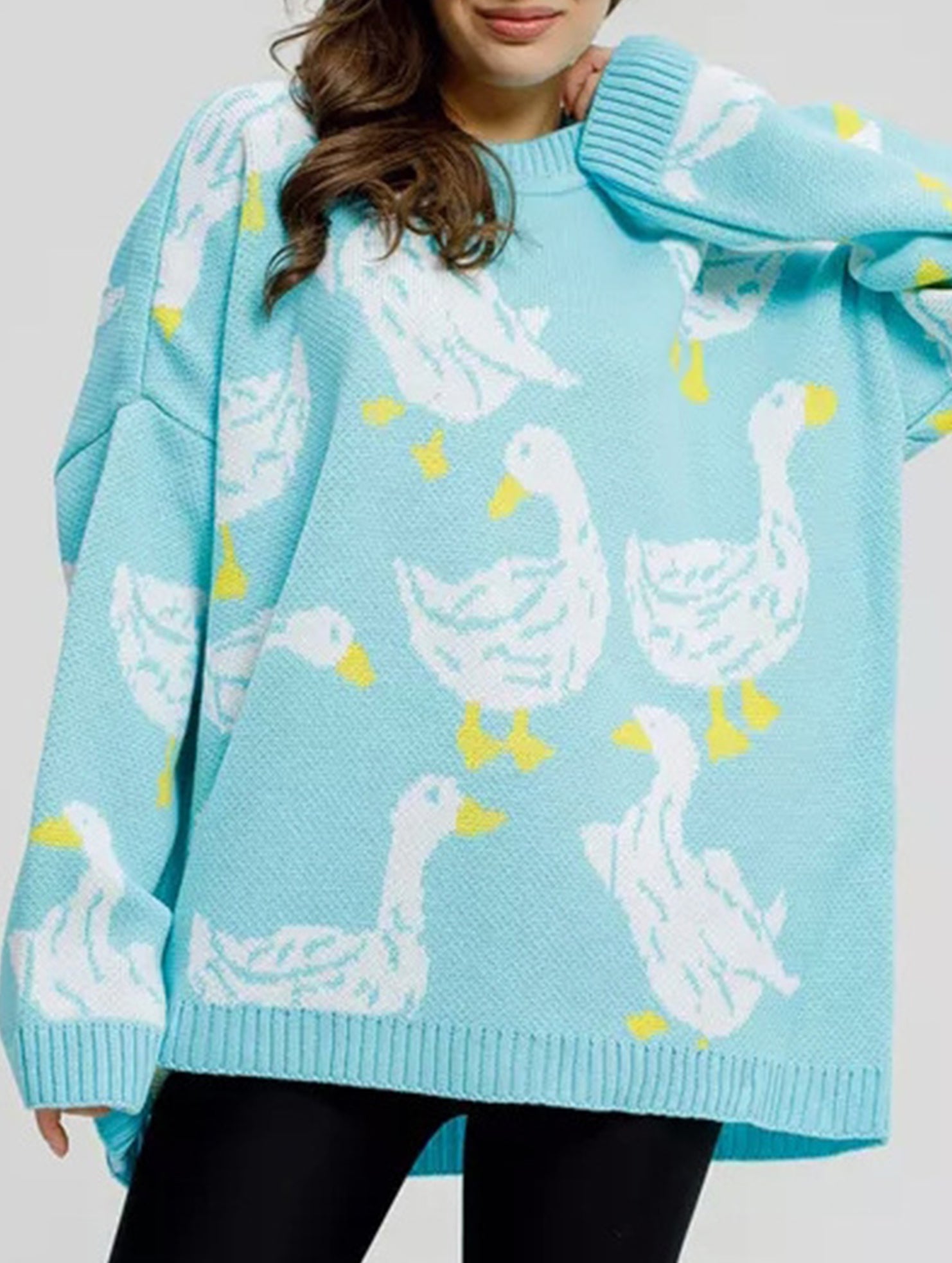 Cute duck print sweater_CWOSWL08992