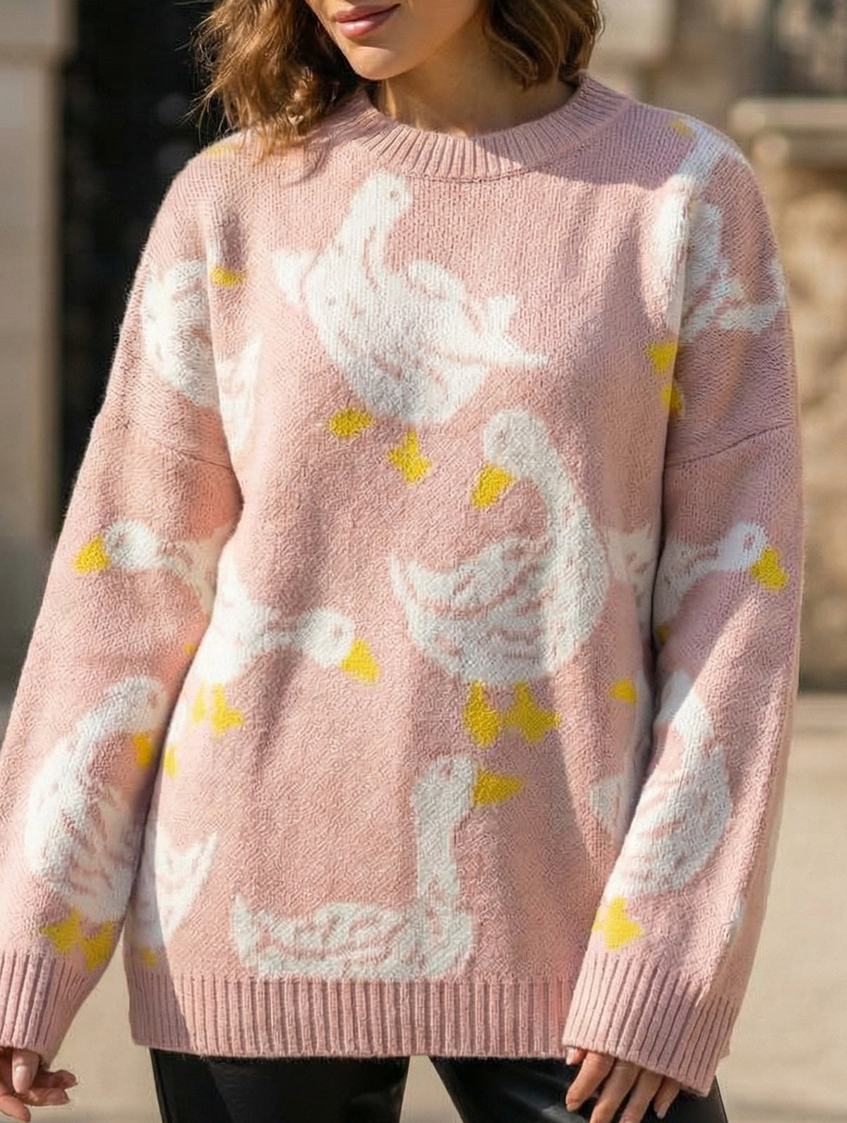 Cute duck print sweater_CWOSWL08992