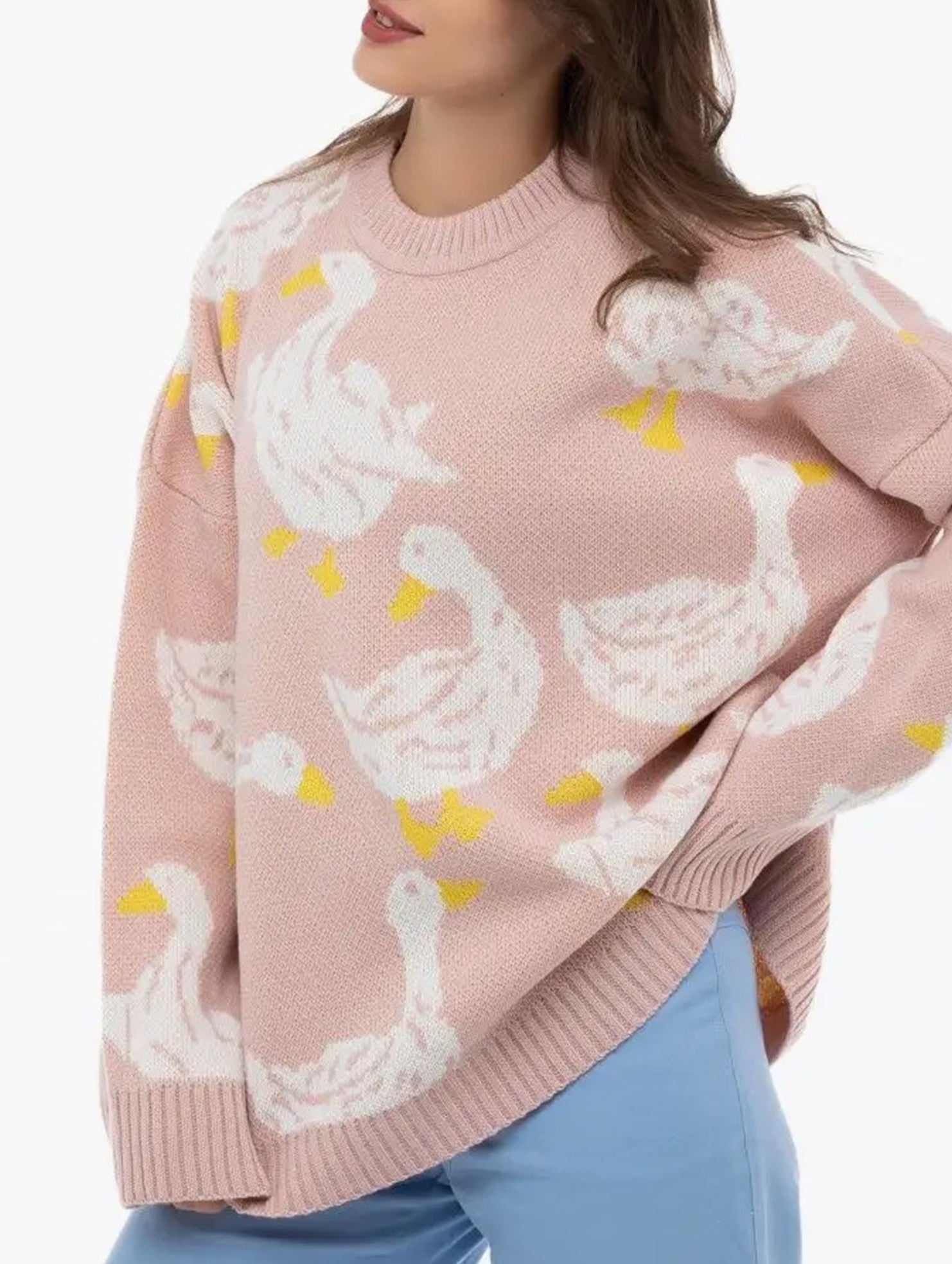 Cute duck print sweater_CWOSWL08992