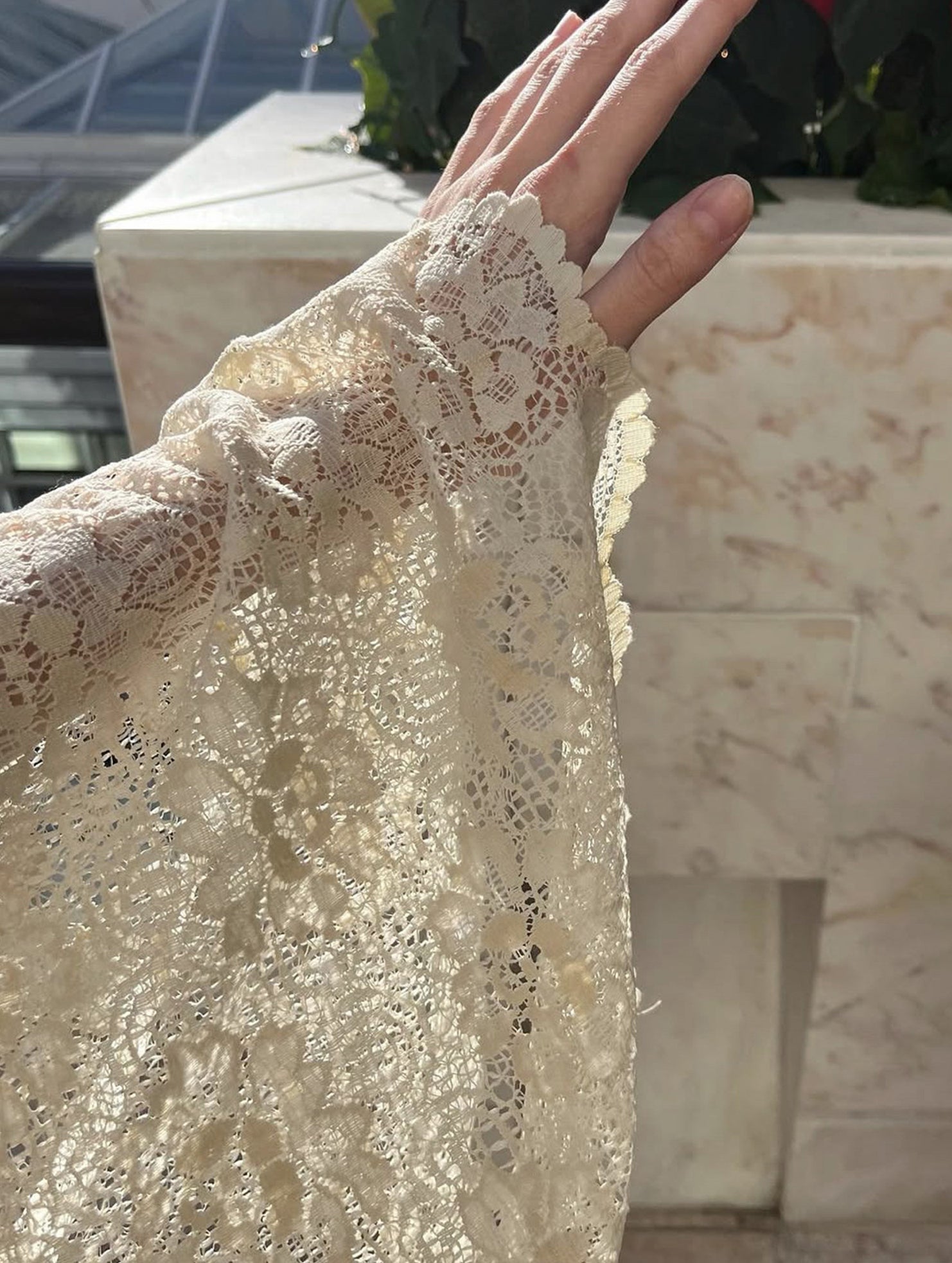 Lace Flare Sleeve Design Top