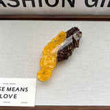 CUTE SEAHORSE ACETATE SHARK HAIR CLAW CLIP_CWAHA5769