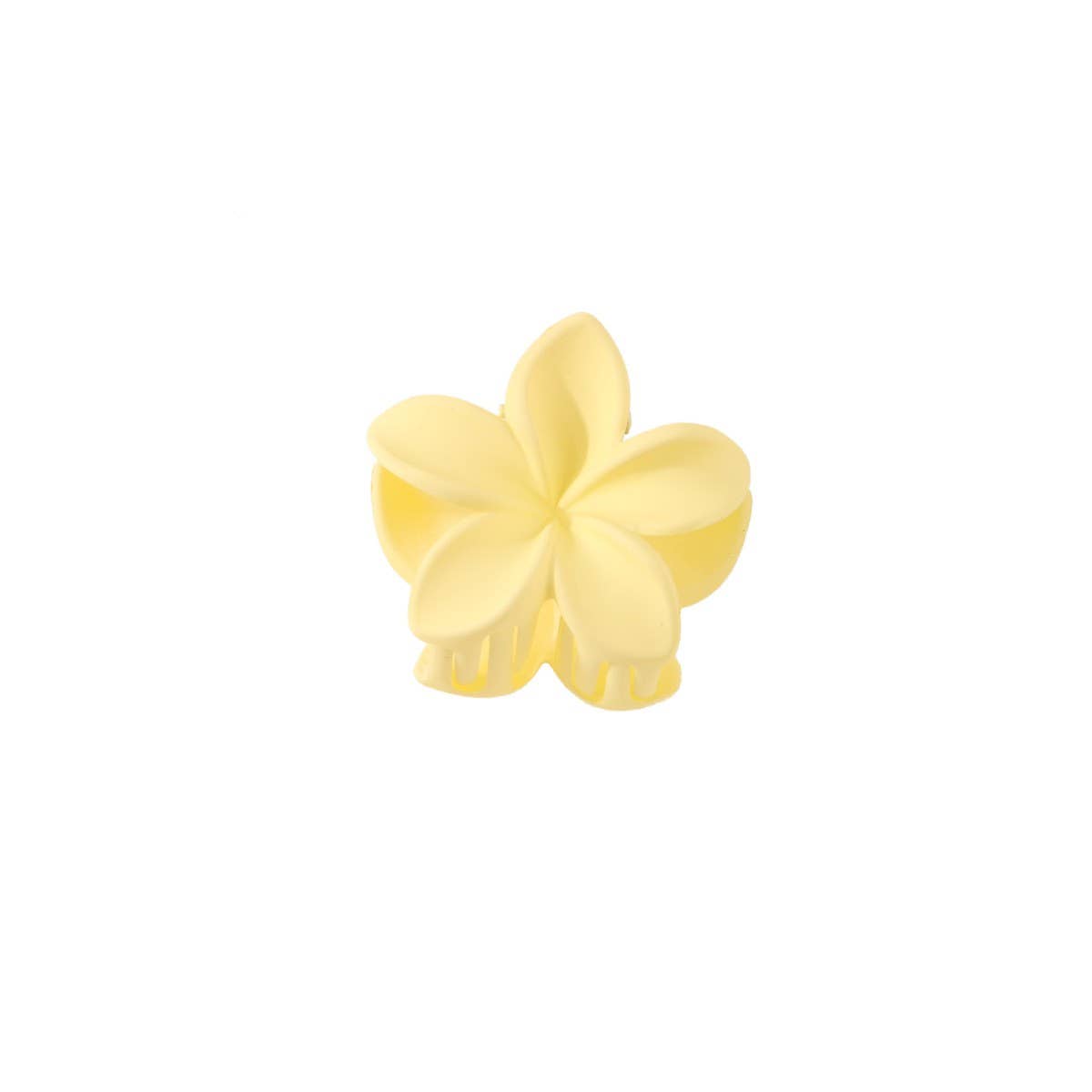 CANDY COLOR PLUMERIA CLAW CLIP SMALL FLOWER CLIP_CWMM4939