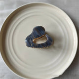 FRENCH ACETATE HAIR CLAW ELEGANT ALLOY CLIP_CWAHA2695