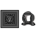 FAUX SILK PAISLEY PRINT SCARF VINTAGE NECK WRAP_CWASC0654