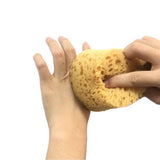 BATH CLEANING SPONGE HONEYCOMB BATH SPONGE_CWMM3405