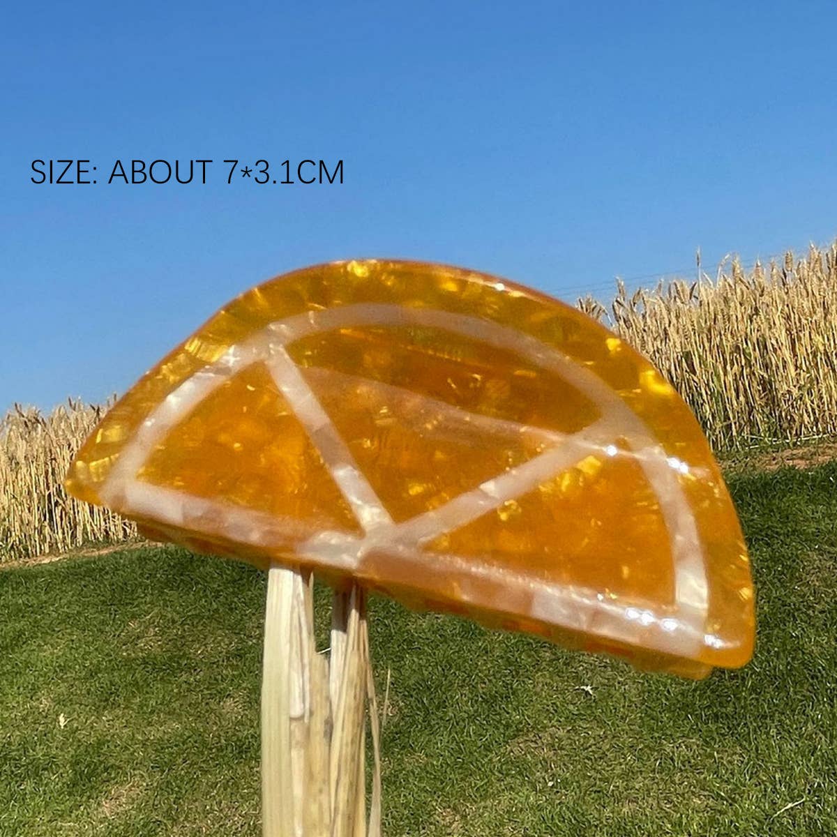 2024 New Simple Fruit Grabber Hairpin_Cwaha0956