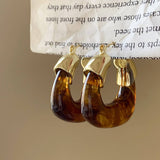 RETRO BROWN LIGHT LUXURY EARRINGS_CWASC1339