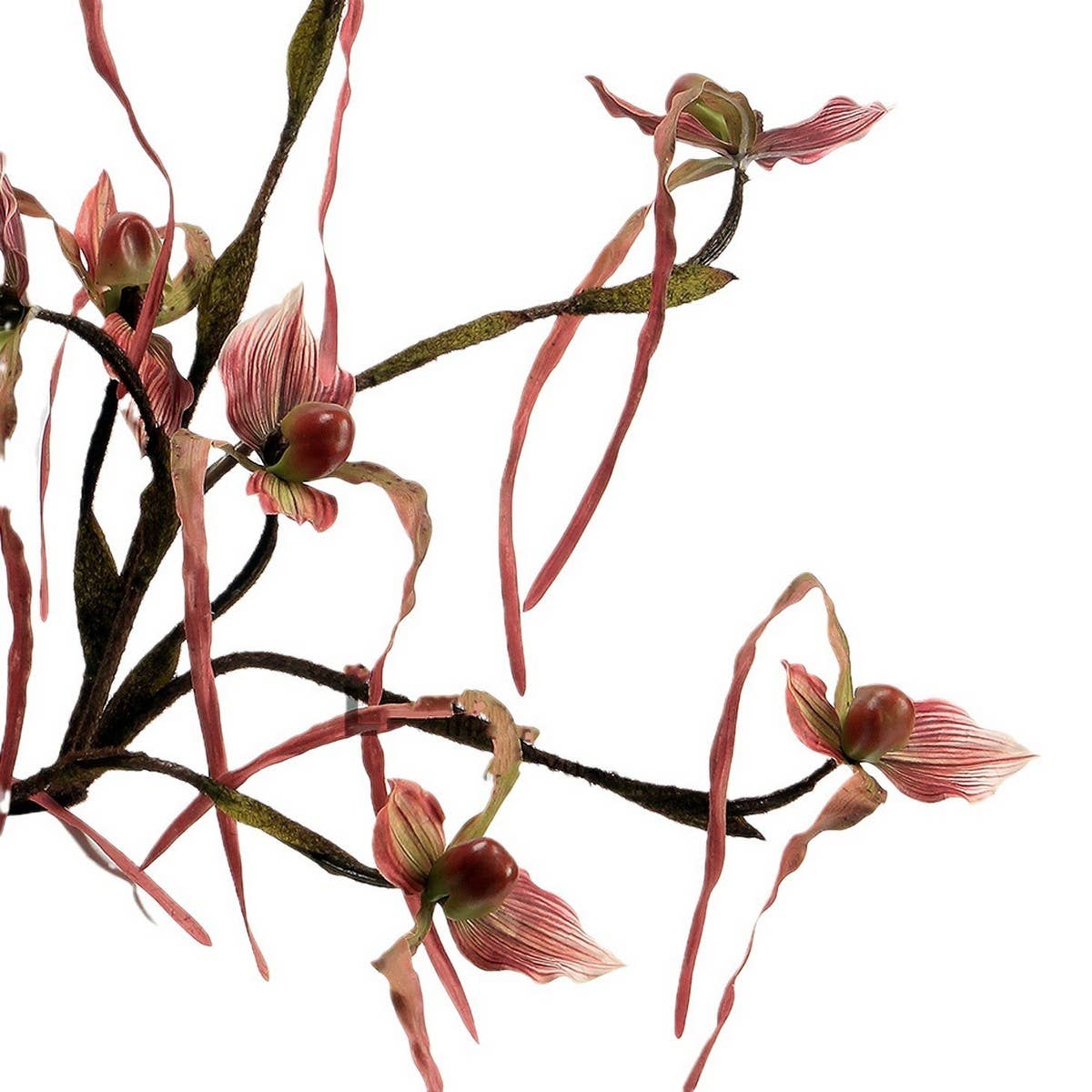 ARTIFICIAL 3 HEAD LEAFLESS SLIPPER ORCHID STEM_CWMM6519