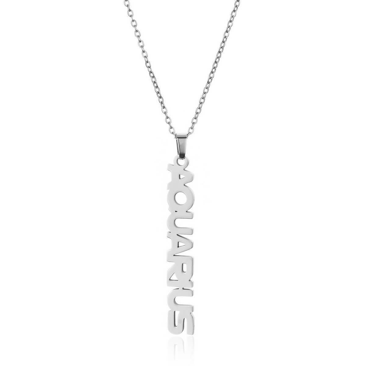 CLAVICLE CHAIN TWELVE ZODIAC TITANIUM NECKLACE_CWMM2717