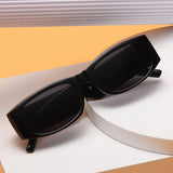 SMALL FRAME SUNGLASSES WITH WIDE TEMPLES_CWASG0570