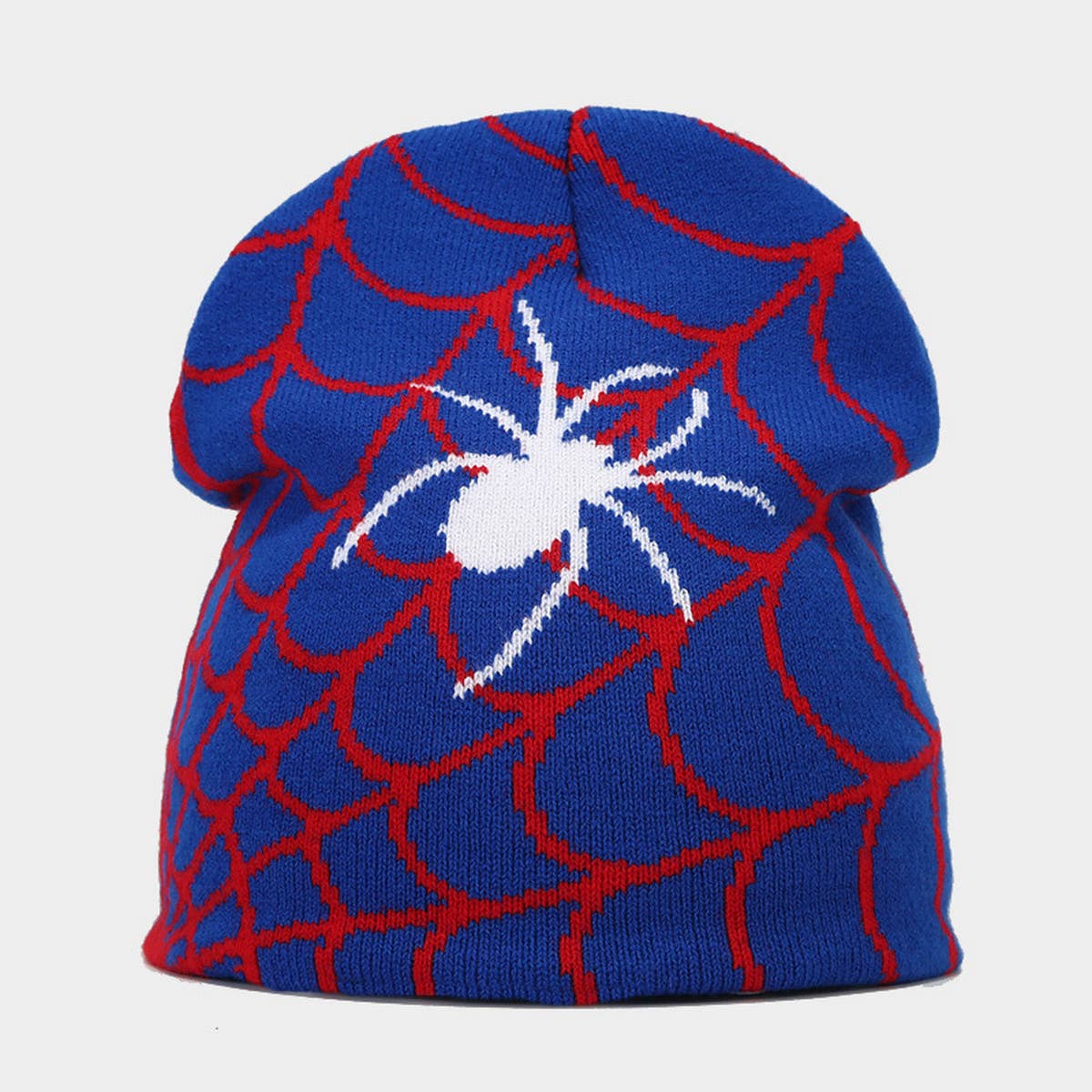 OUTDOOR SPIDER WEB JACQUARD KNITTED HAT_CWAH1599