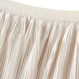 REVERSIBLE MESH PLEATED SKIRT A LINE SKIRT_CWBMS0316
