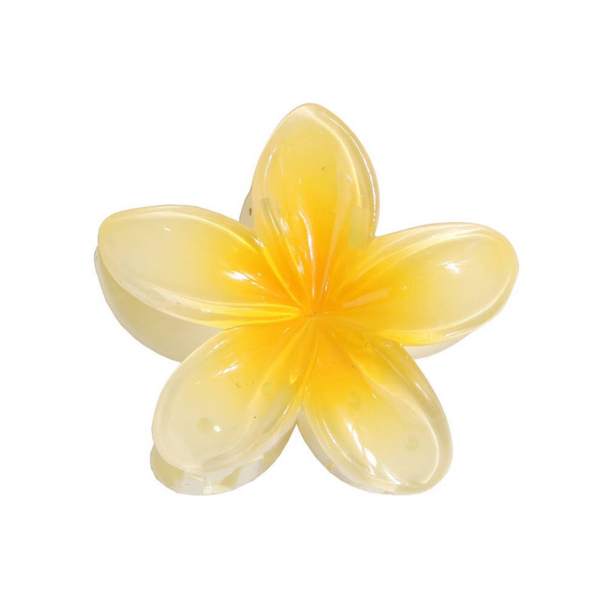 GRADIENT FLOWER HAIR CLAW PLUMERIA BEACH CLIP_CWMM4940