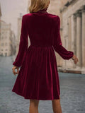 Velvet Long-Sleeved Dress With Waist Tucked
