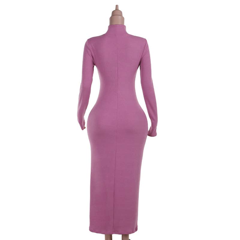 Stylish Elegance High-Neck Fit Long-Sleeved Dress