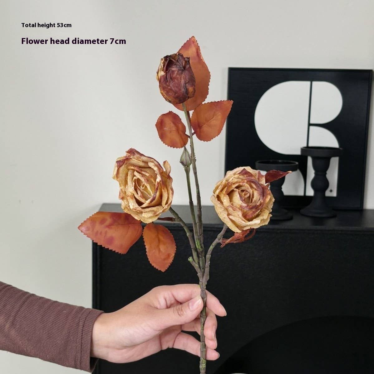 Vintage Autumn Oil Painting Burnt Rose_Cwmm6514