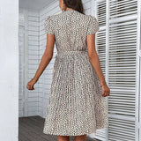 V Neck Leopard Print Plus-Size Dress_Cwdsd3402