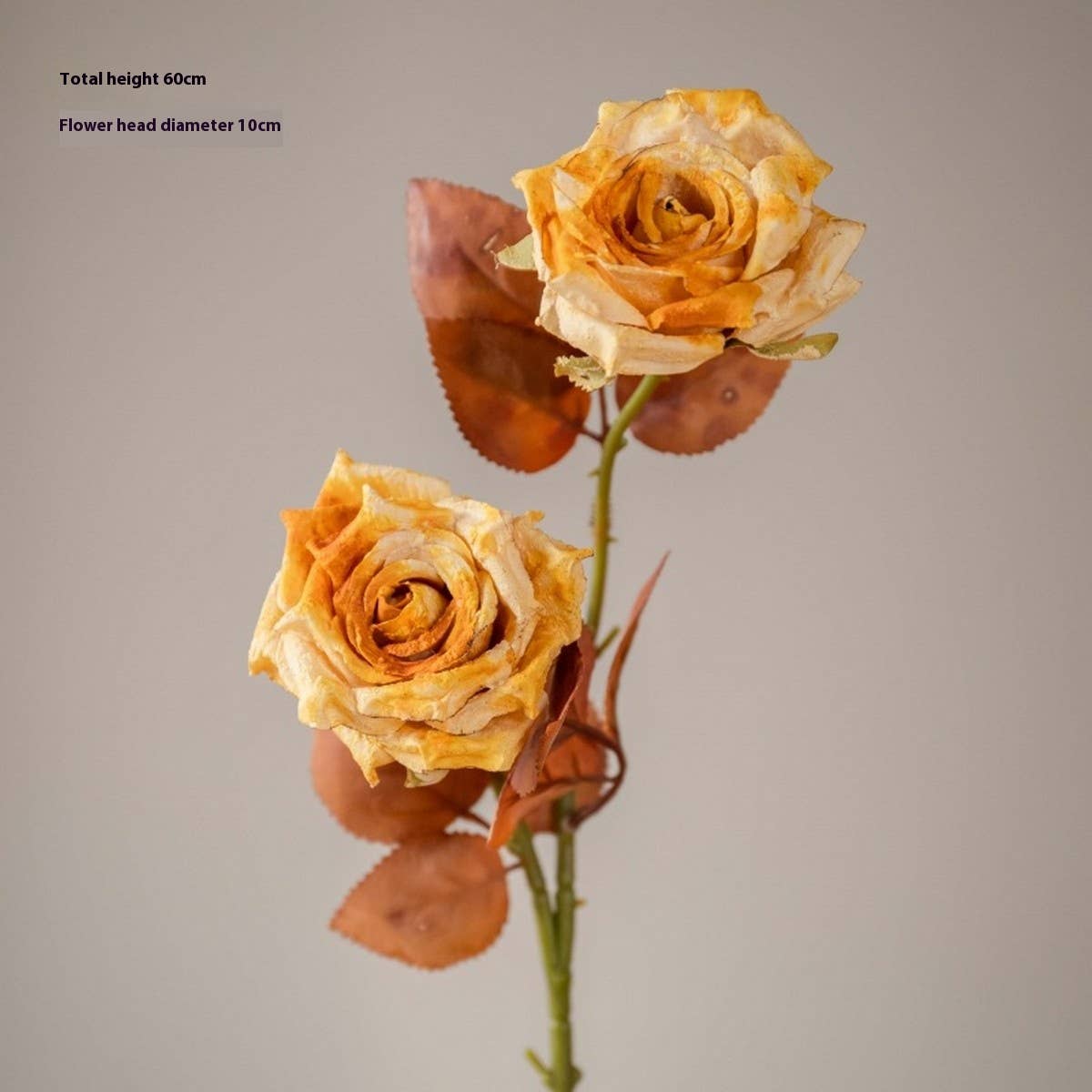 DRIED TONE BURNT EDGE ROSE BOUQUET FOR DECOR_CWMM6577