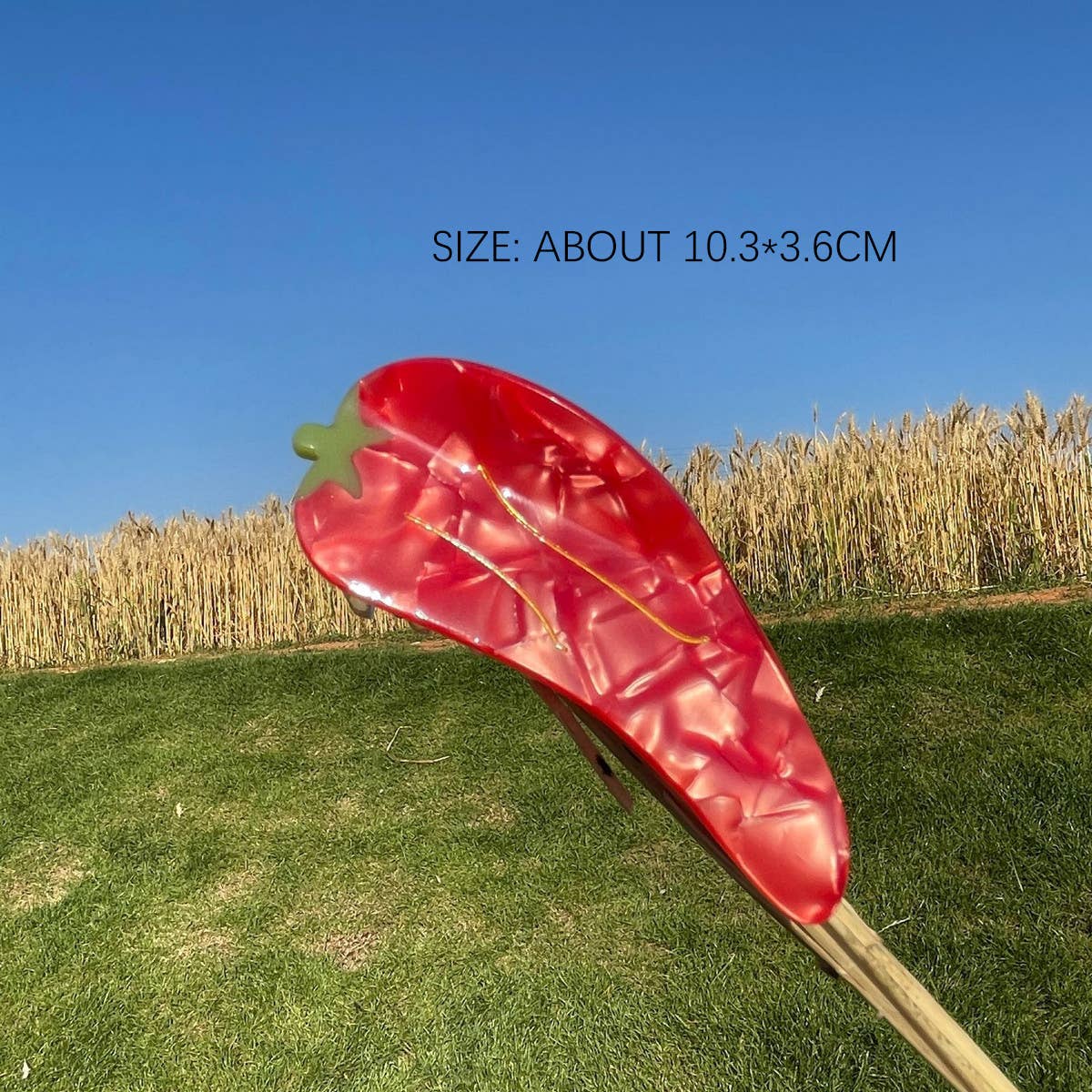 2024 New Simple Fruit Grabber Hairpin_Cwaha0956